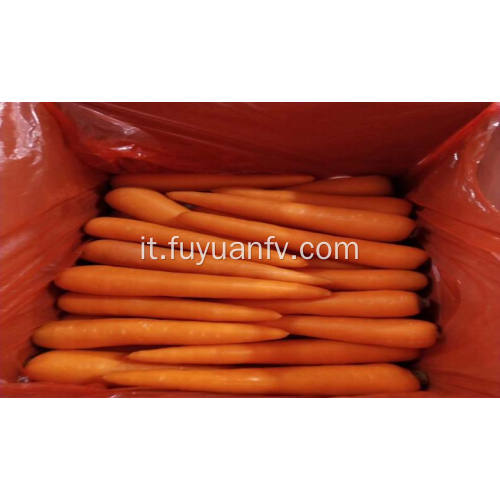 carote fresche di verdure fresche